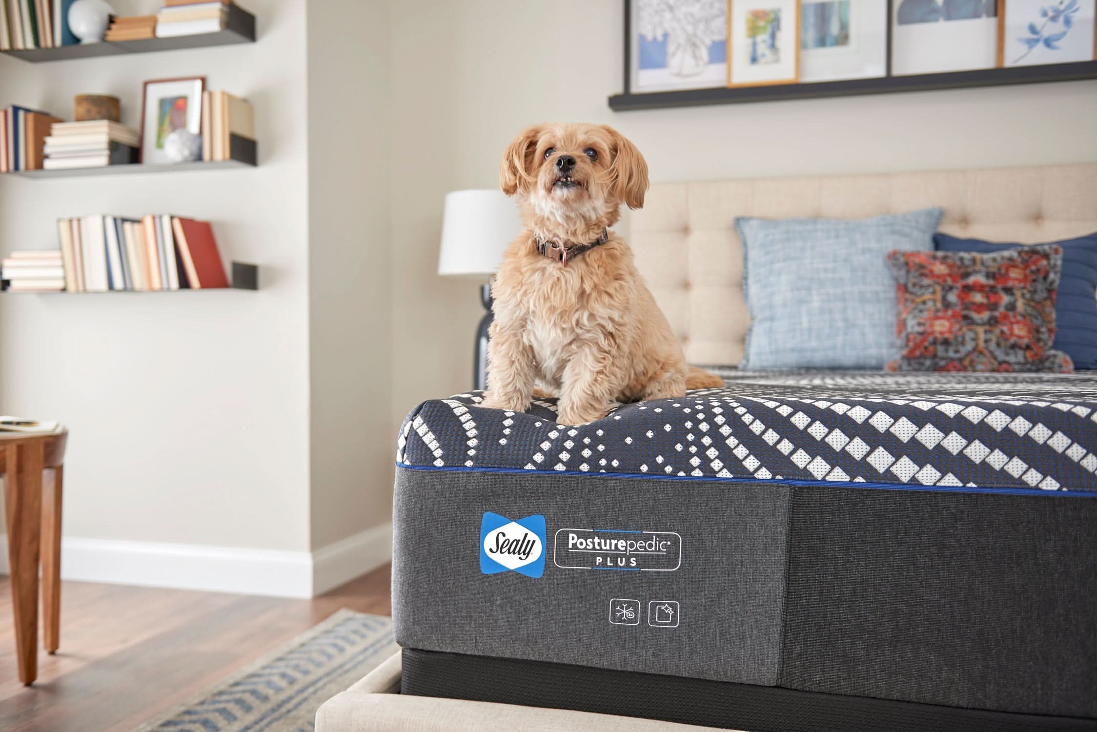 High Point Sealy Posturepedic Hybrid Premium Silver Chill Sealy